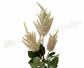 F0284 Astilbe Spray 99cm Light Pink indoor houseplants  