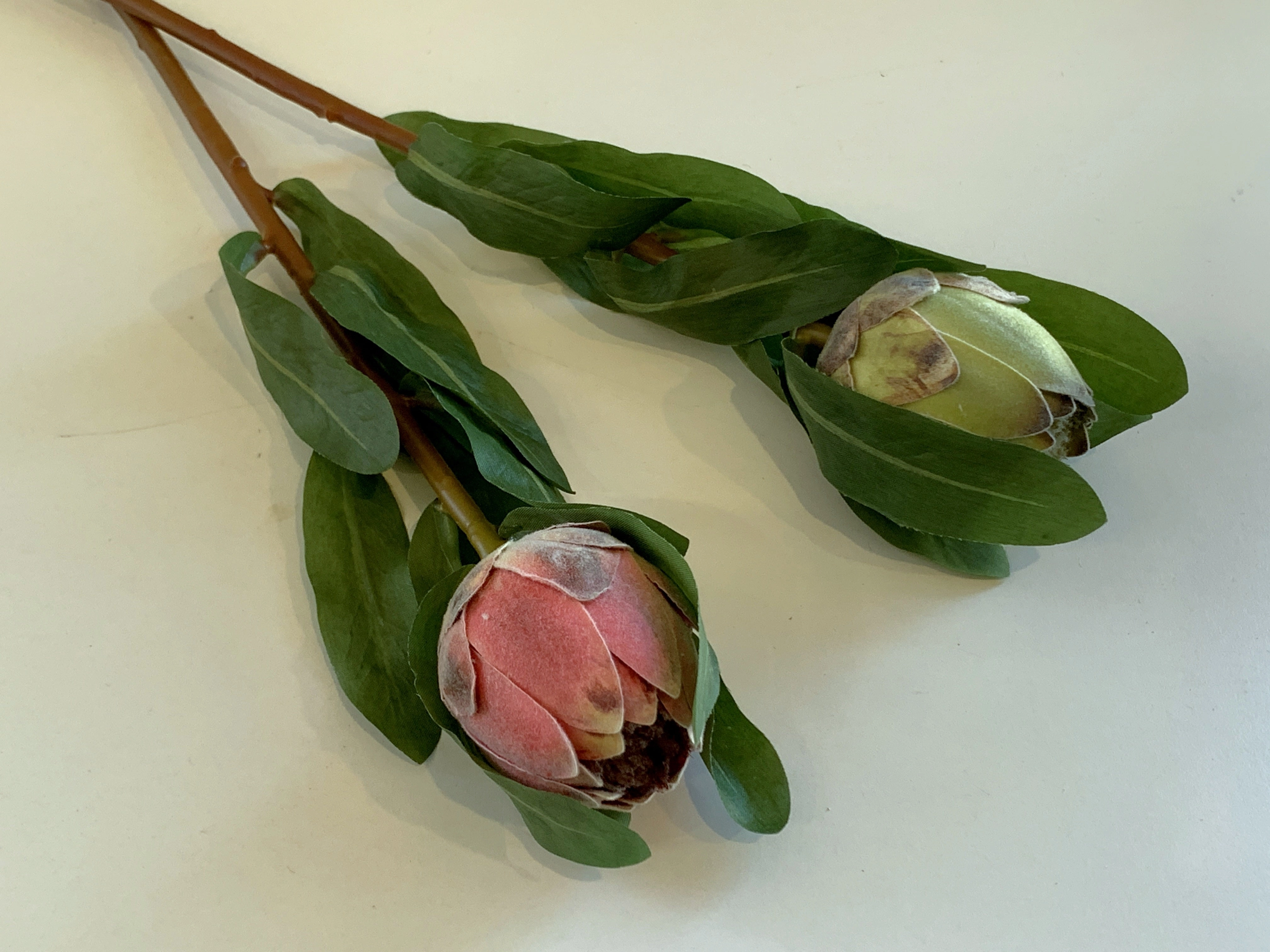 F0287 Small Protea Bud 46cm Pink / Green