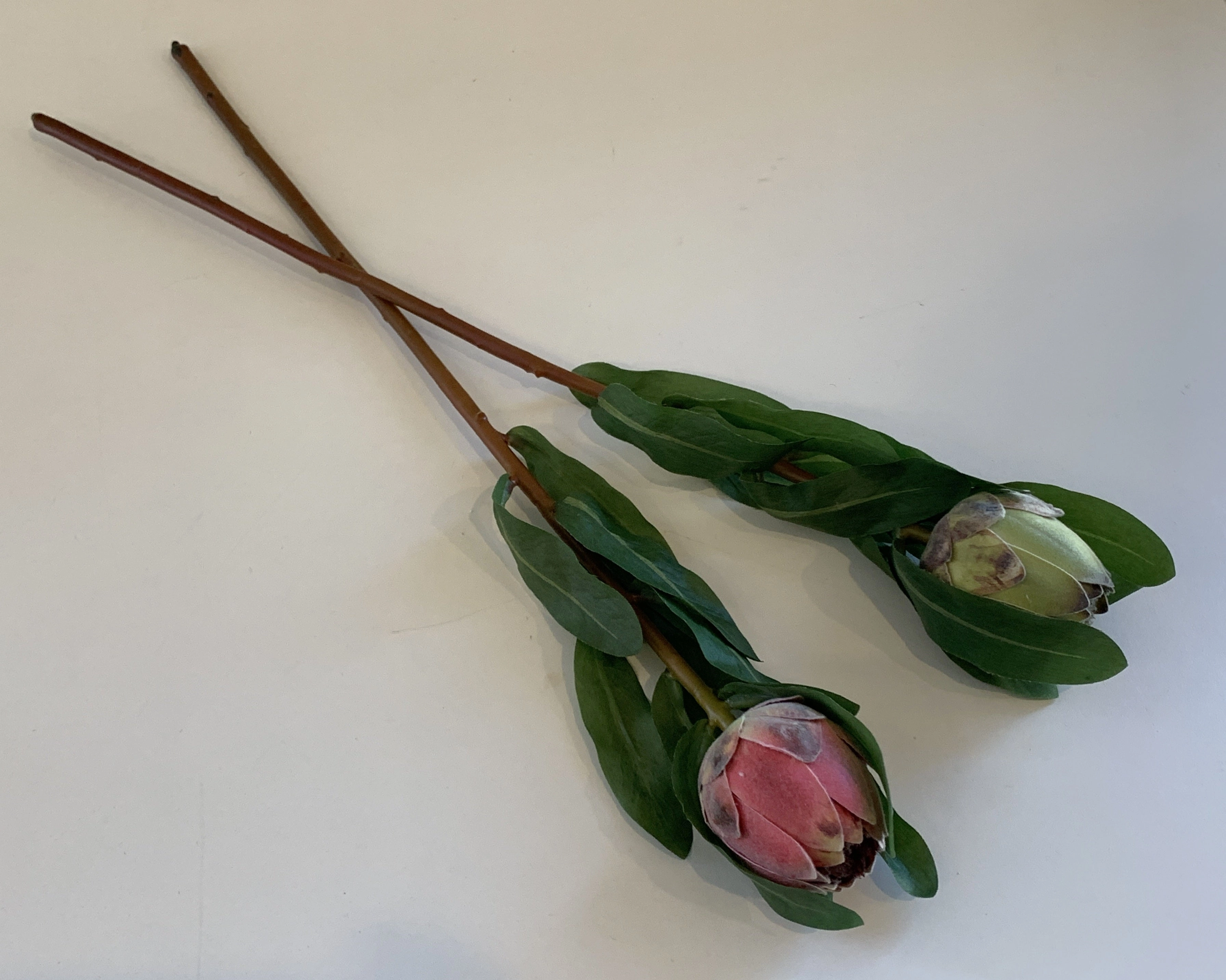F0287 Small Protea Bud 46cm Pink / Green