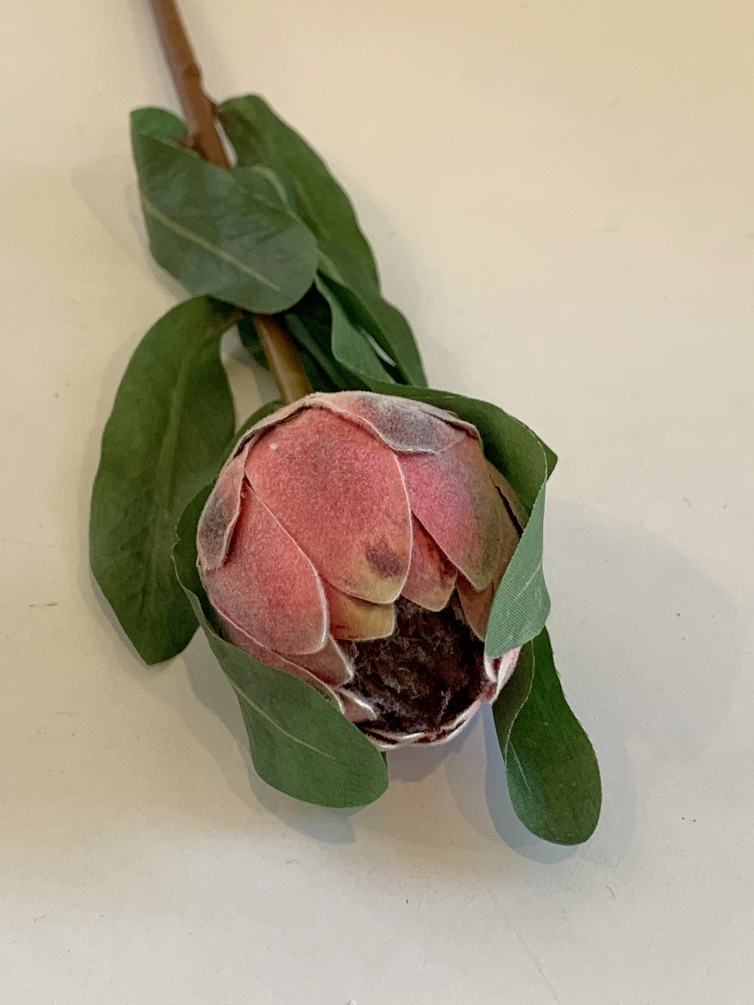 F0287 Small Protea Bud 46cm Pink / Green