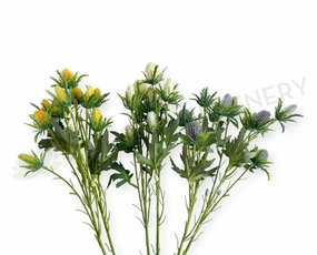 F0292 Eryngium Thistles / Sea Holly 67cm 3 Colours outdoor greenery  
