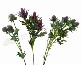 F0292 F0294 F0295 Eryngium Thistles / Sea Holly 61-68cm Purple outdoor greenery  