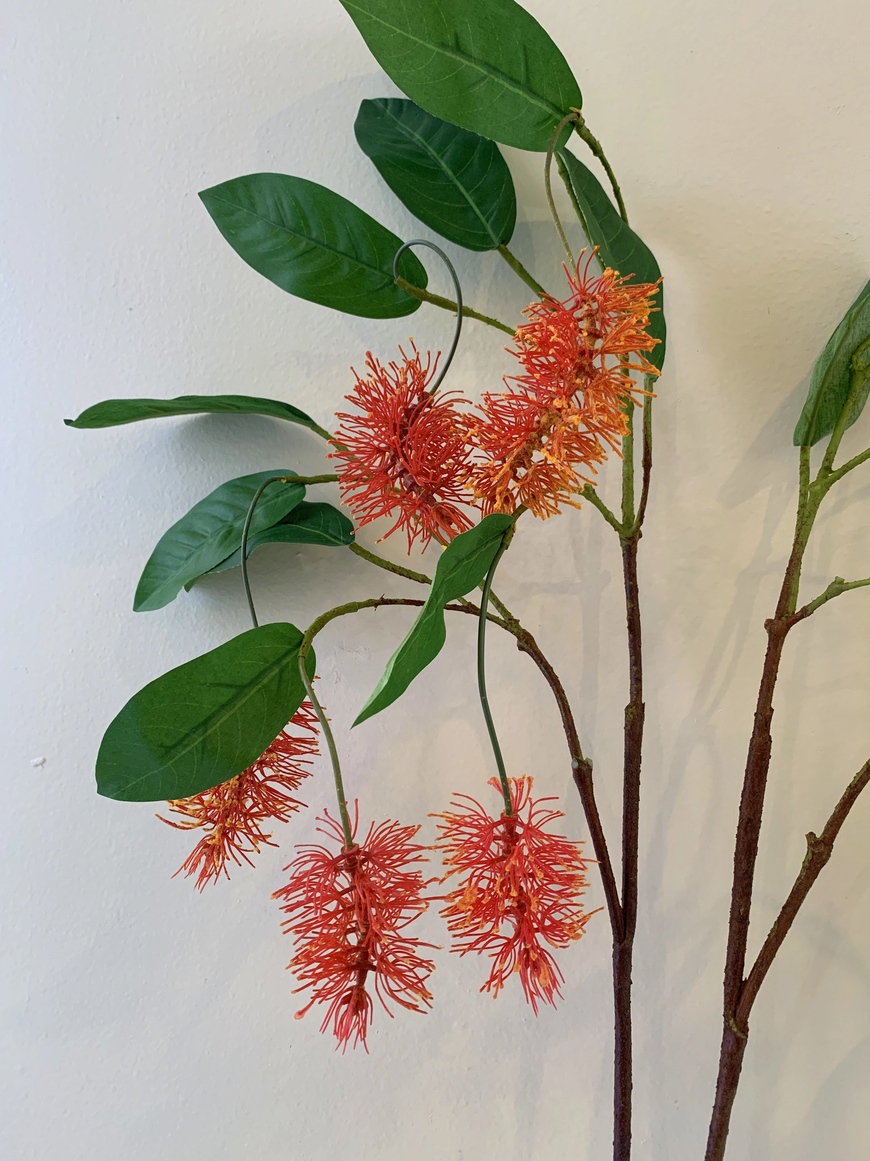 F0293N Bottlebrush / Callistemon 102cm Red / Cream