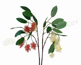 F0293N Bottlebrush / Callistemon 102cm Red / Cream outdoor greenery  