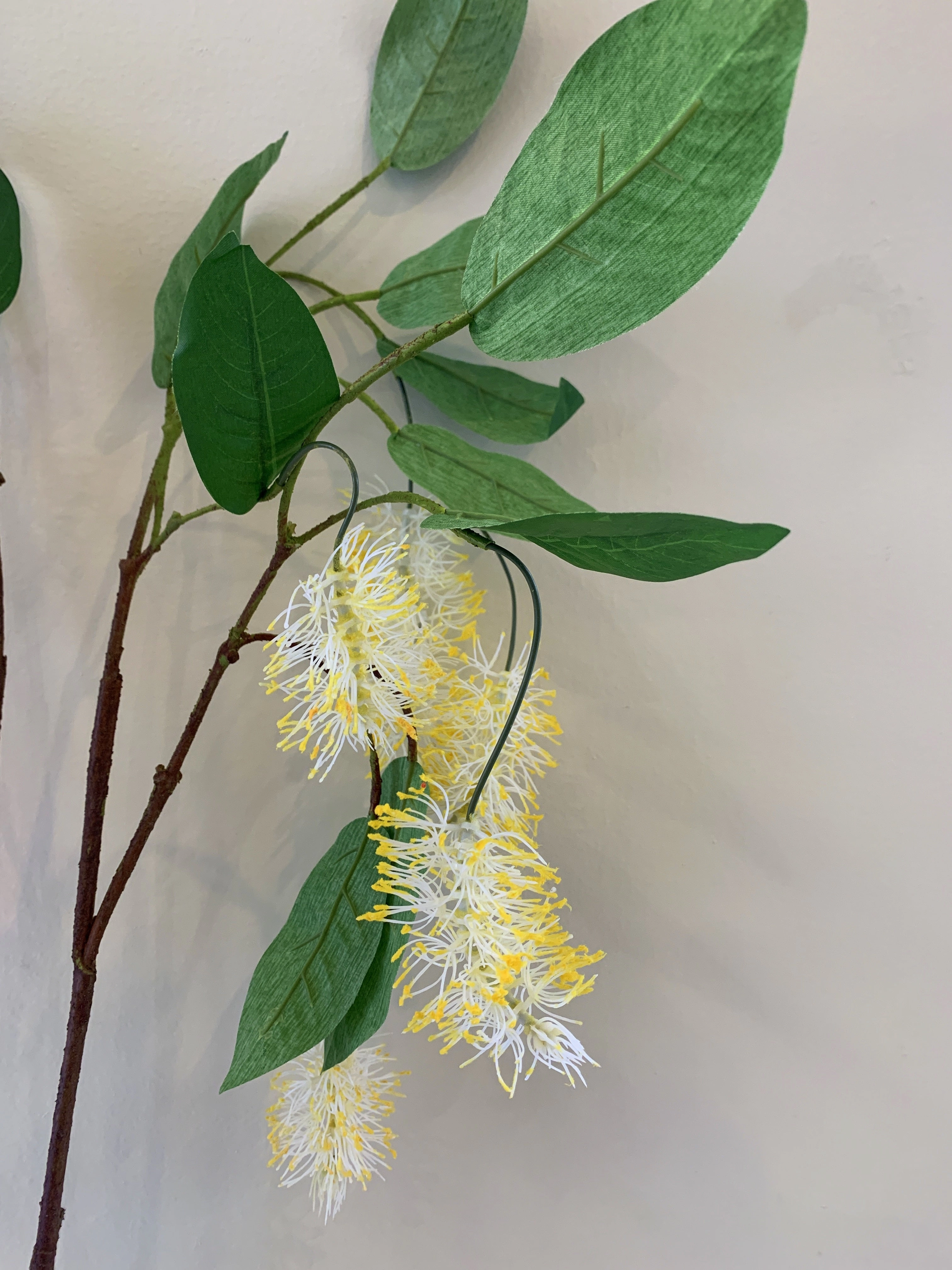 F0293N Bottlebrush / Callistemon 102cm Red / Cream