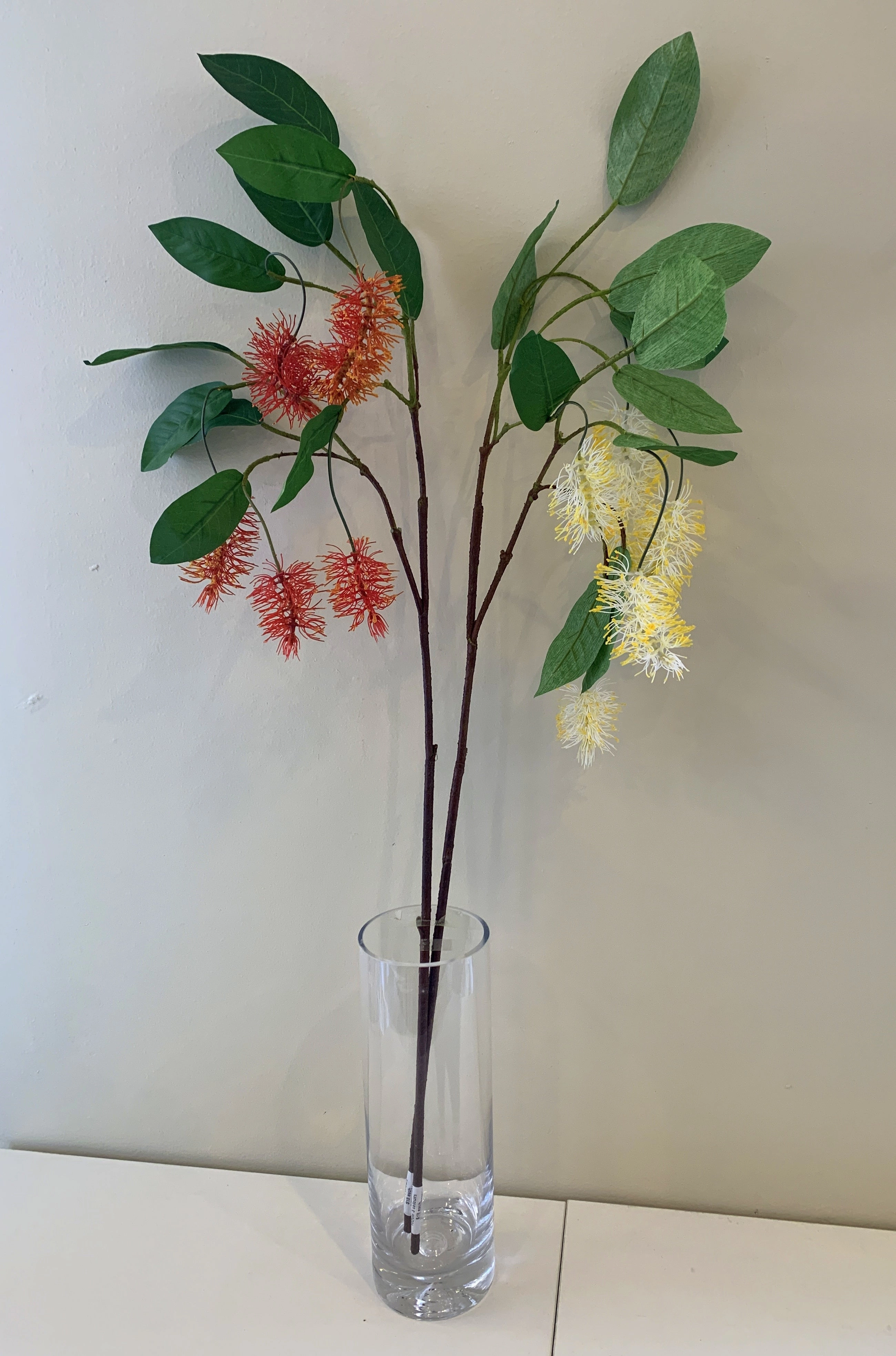 F0293N Bottlebrush / Callistemon 102cm Red / Cream