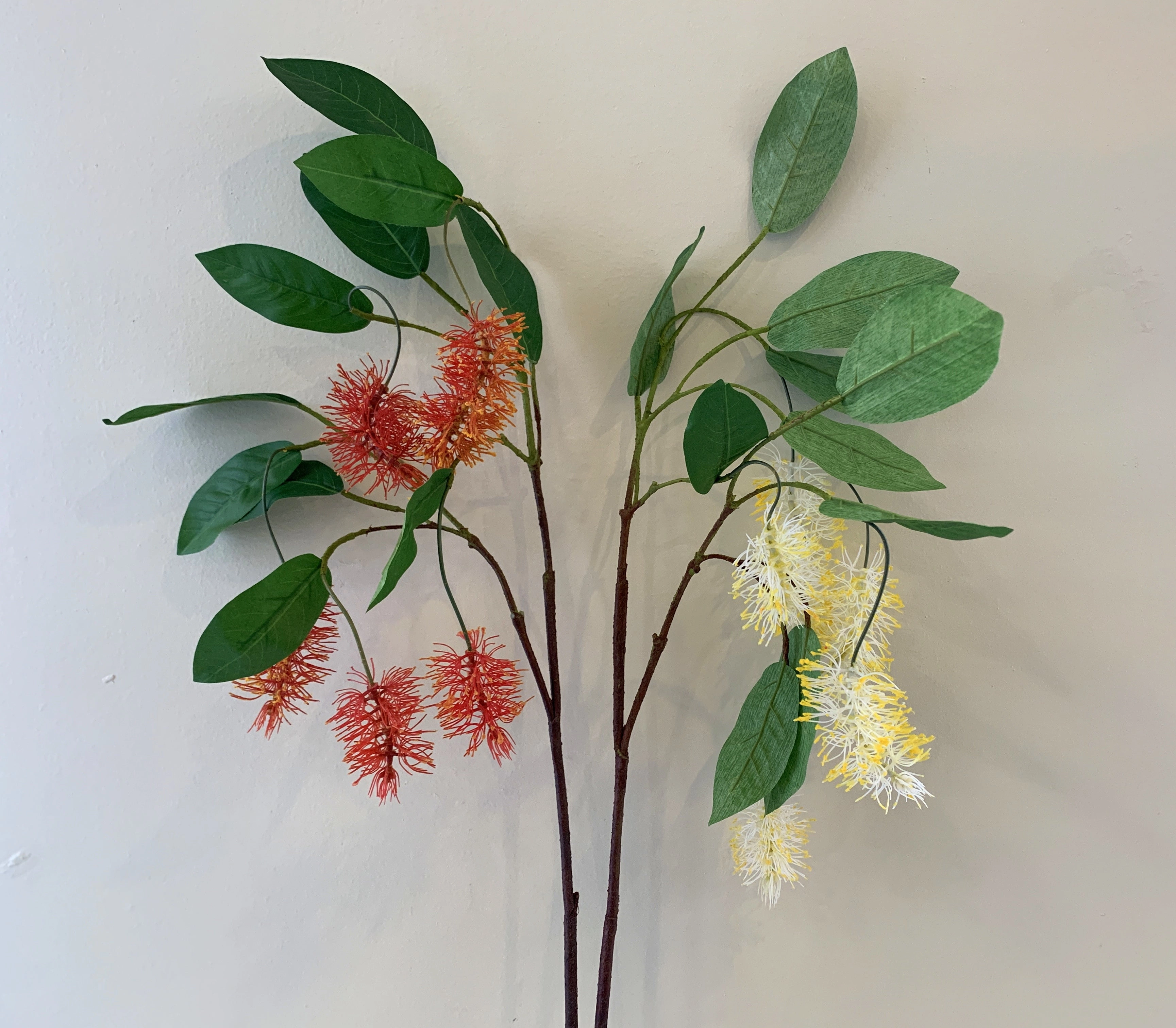 F0293N Bottlebrush / Callistemon 102cm Red / Cream