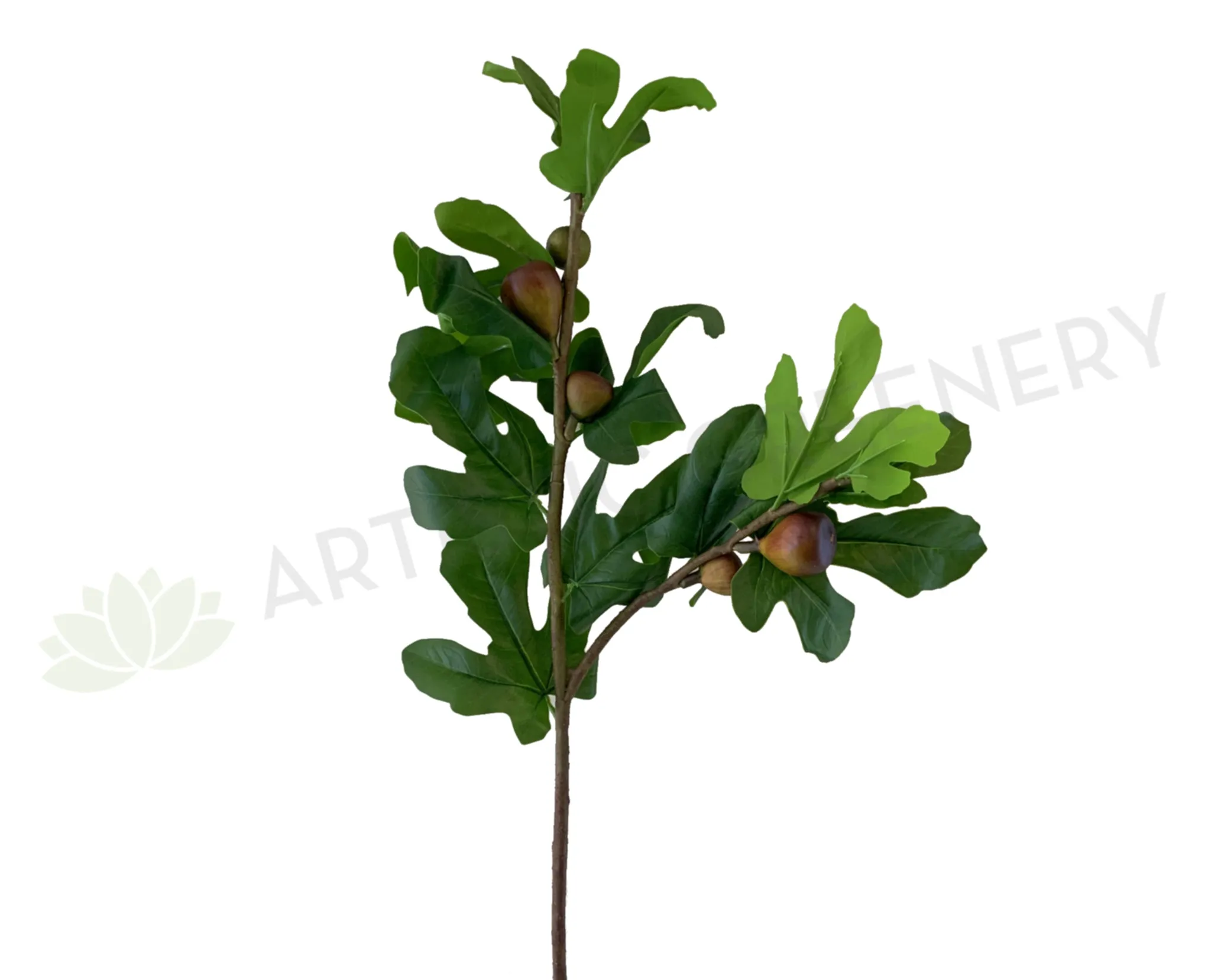 F0296 Fig Foliage 90cm dried green plant  