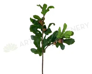 F0296 Fig Foliage 90cm dried green plant  
