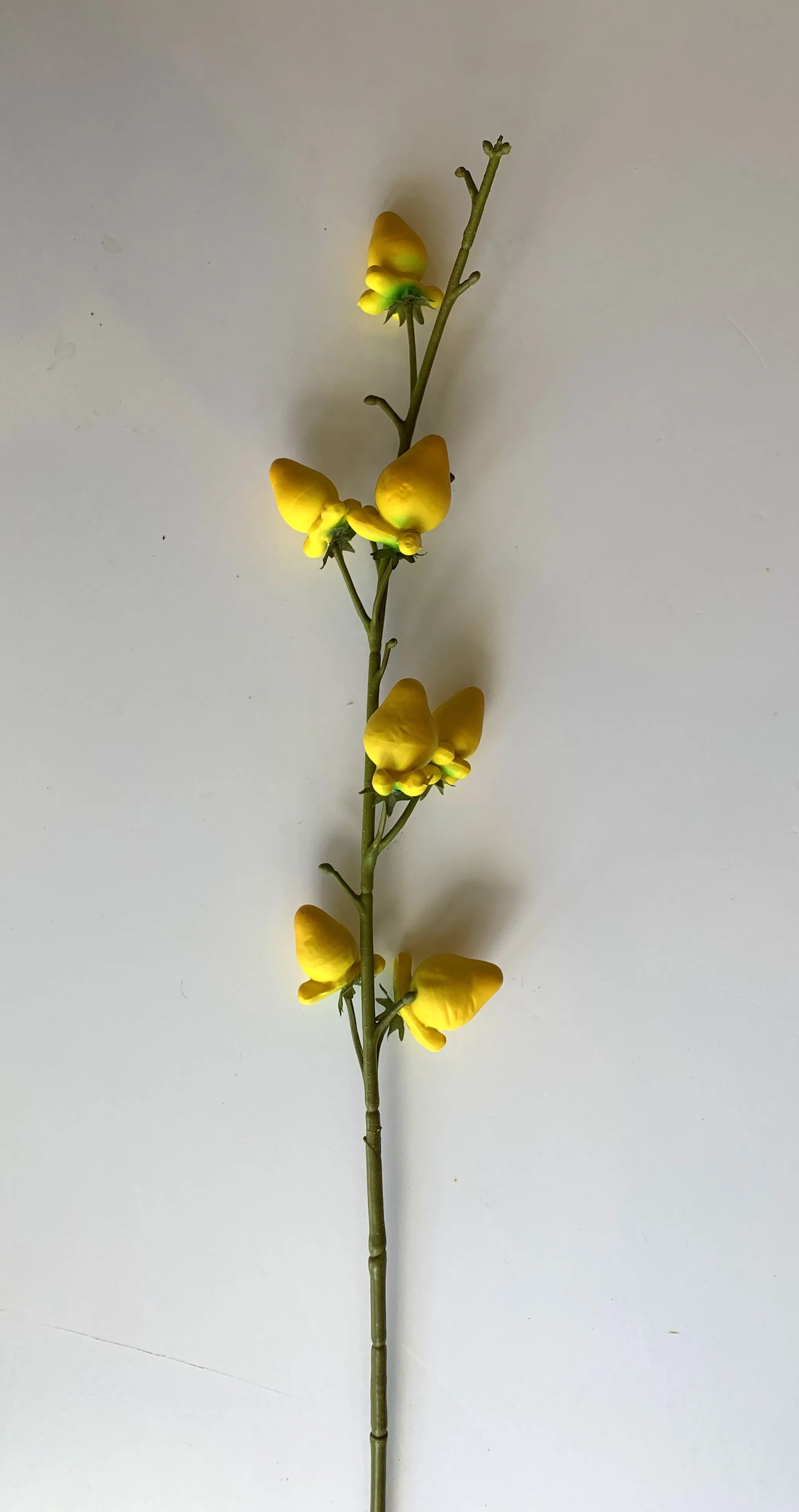 F0297 Cow's Udder Spray 81cm Yellow