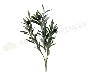 F0298 Olive Foliage 76cm Green dried green plant  
