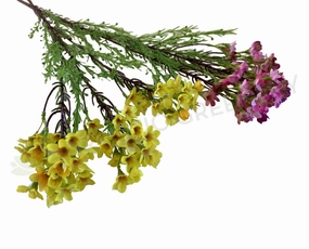 F0301 Wax Flower Spray 78cm Yellow / Pink / Cream outdoor greenery  