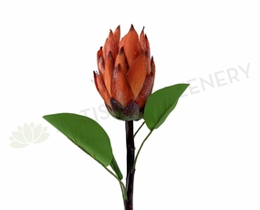 F0302 Protea Stem 65cm Orange outdoor greenery  
