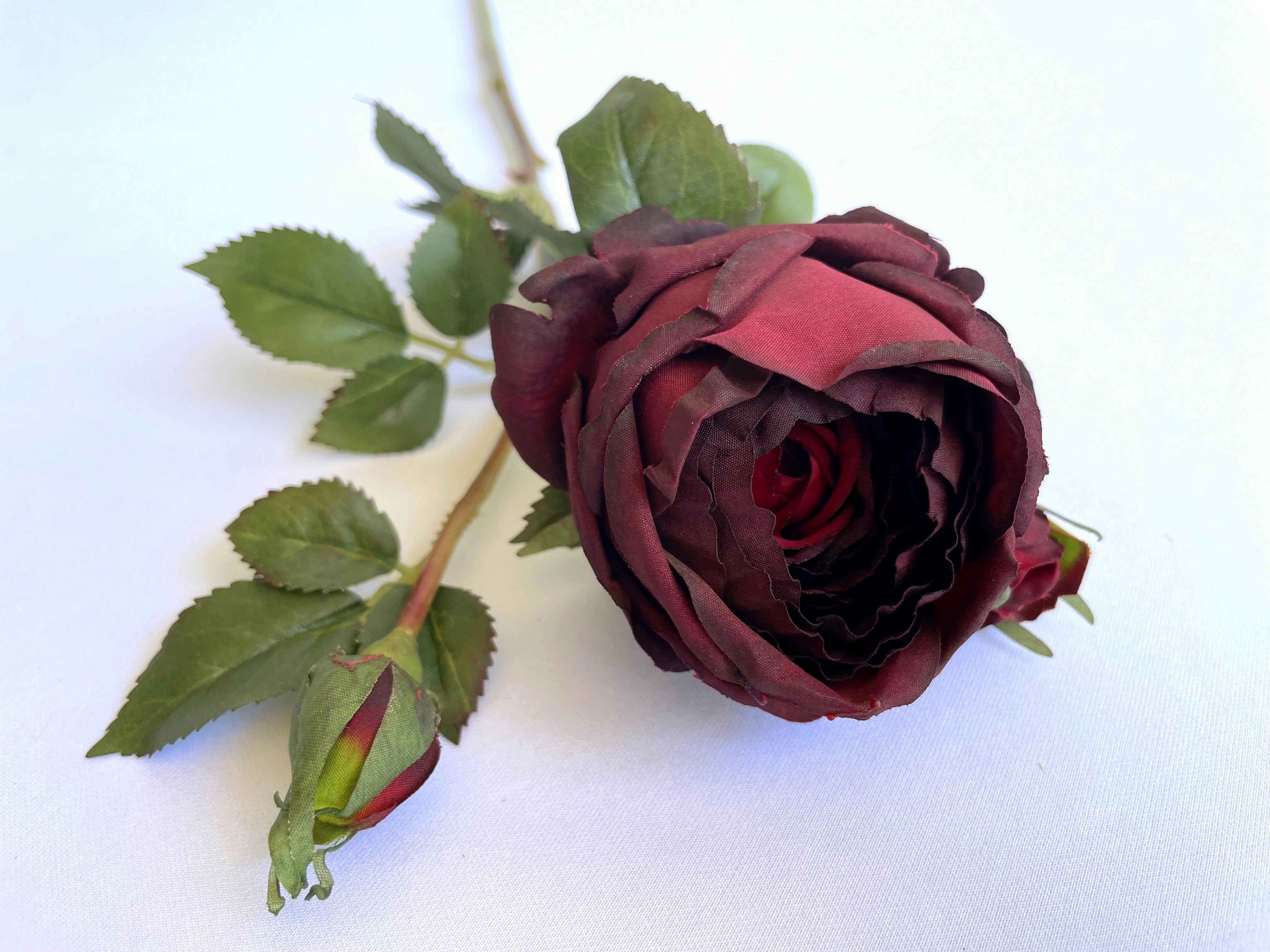 F0306N Cabbage Rose Spray 60cm Burgundy