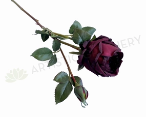 F0306N Cabbage Rose Spray 60cm Burgundy indoor houseplants  
