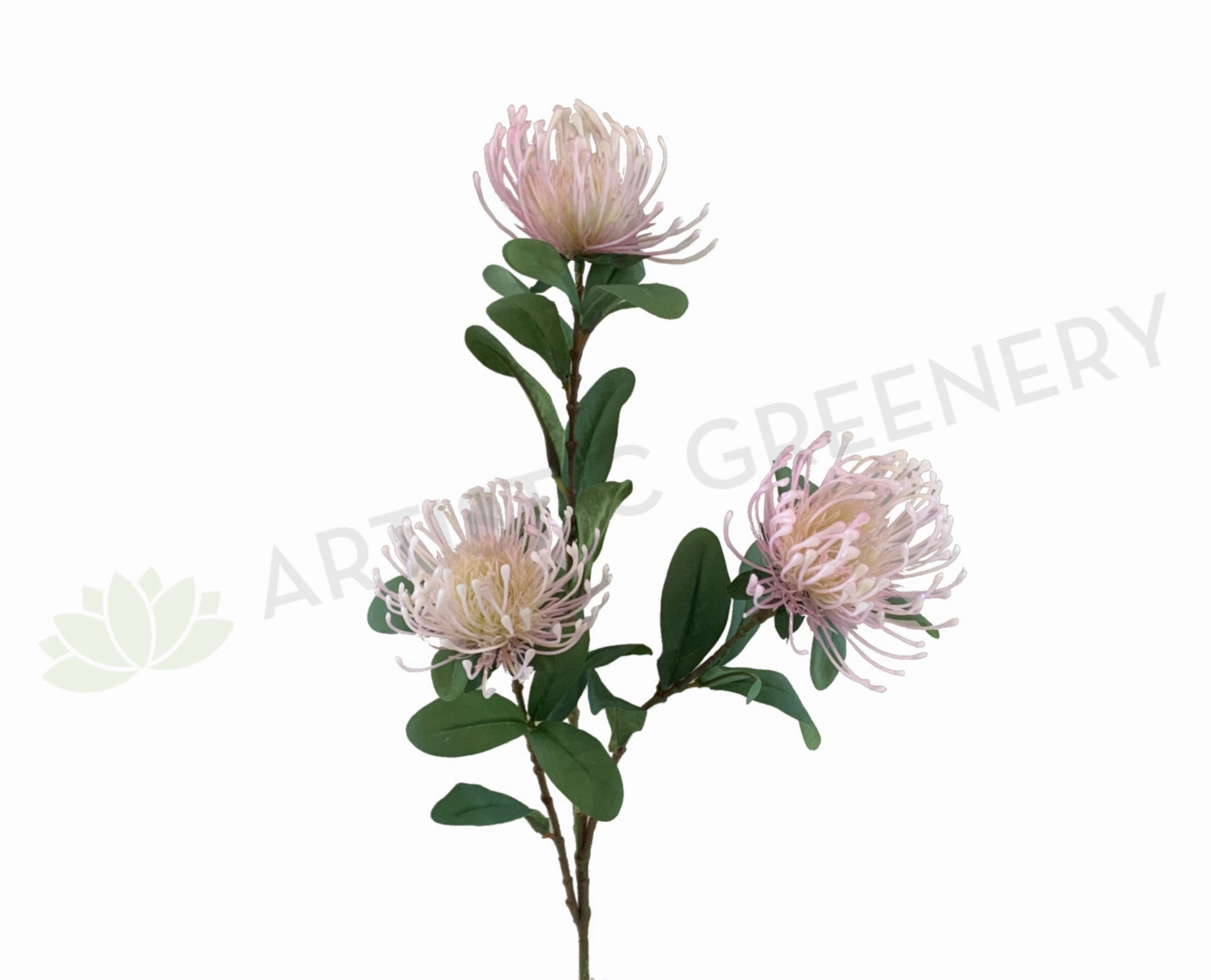 F0308 Protea Pincushion Spray 83cm Light Pink outdoor greenery  