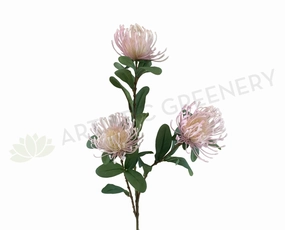 F0308 Protea Pincushion Spray 83cm Light Pink outdoor greenery  