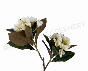 F0310 Frangipani / Plumeria Branch 84cm White with Yellow Centre outdoor greenery  