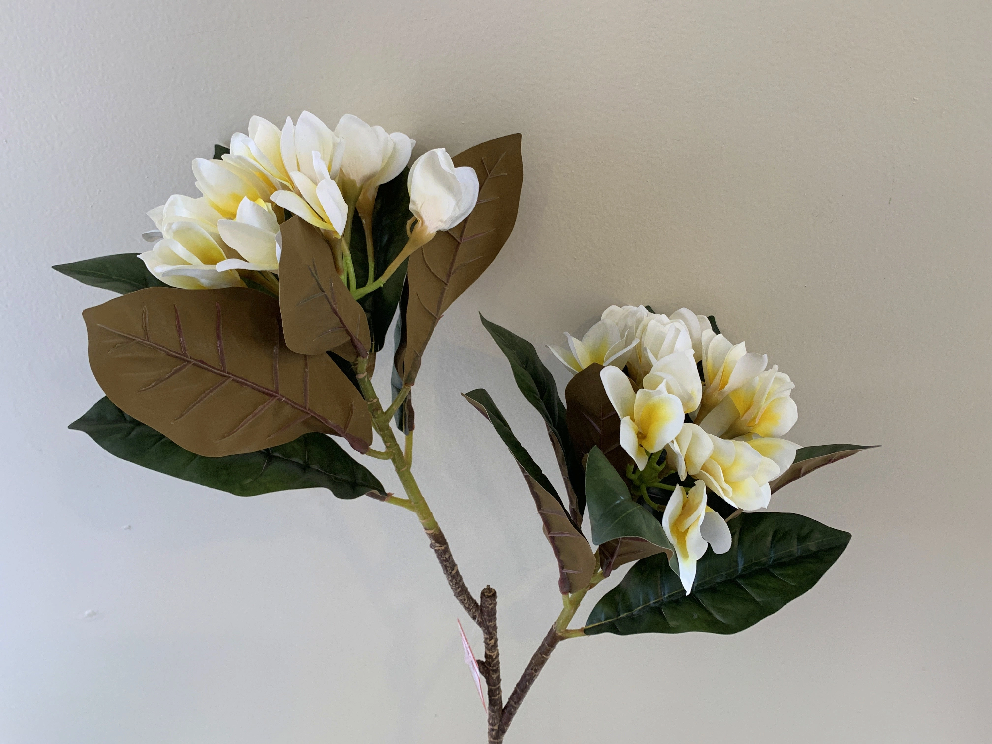 F0310 Frangipani / Plumeria Branch 84cm White with Yellow Centre