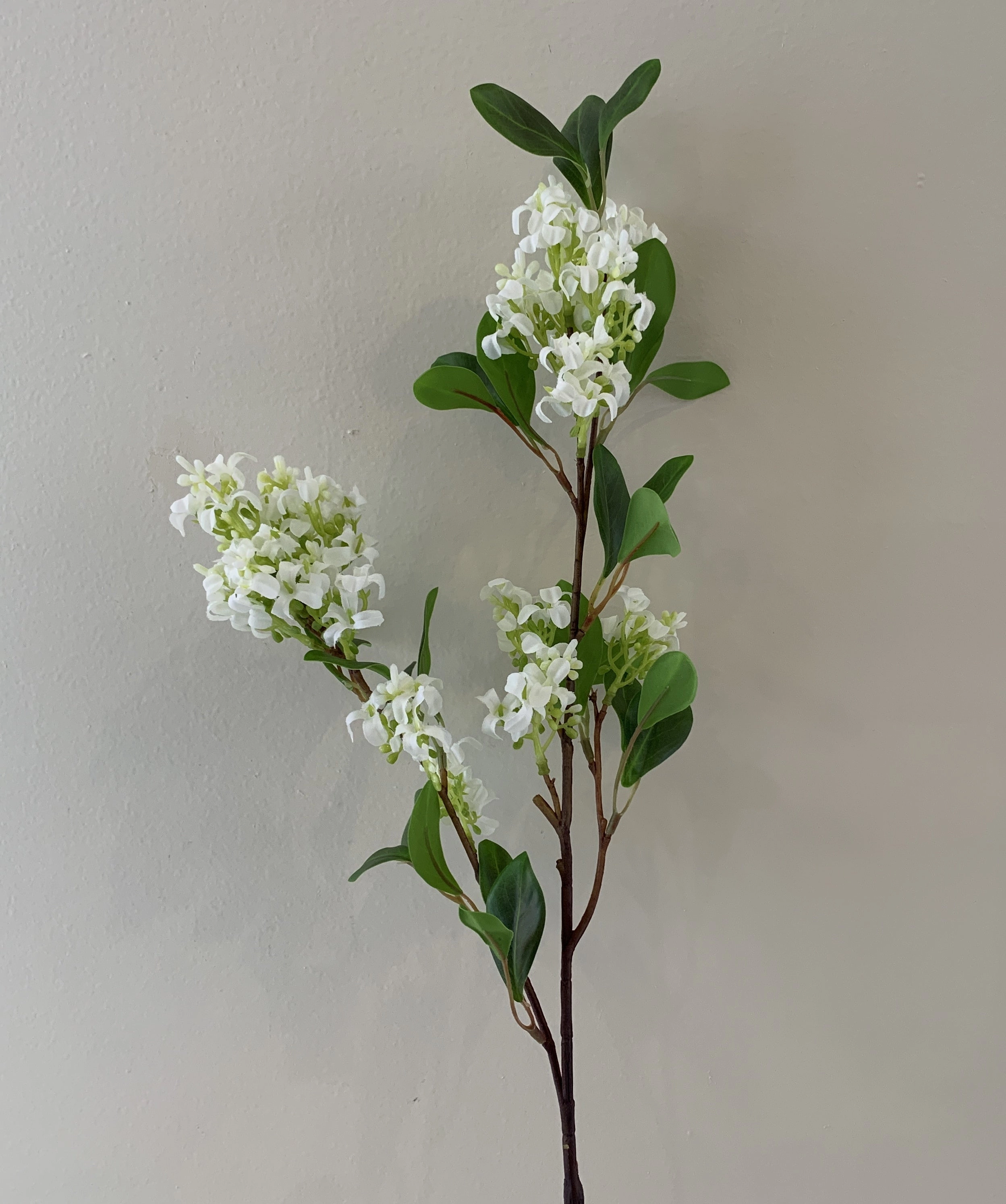 F0316 Chinese Star Jasmine 81cm White