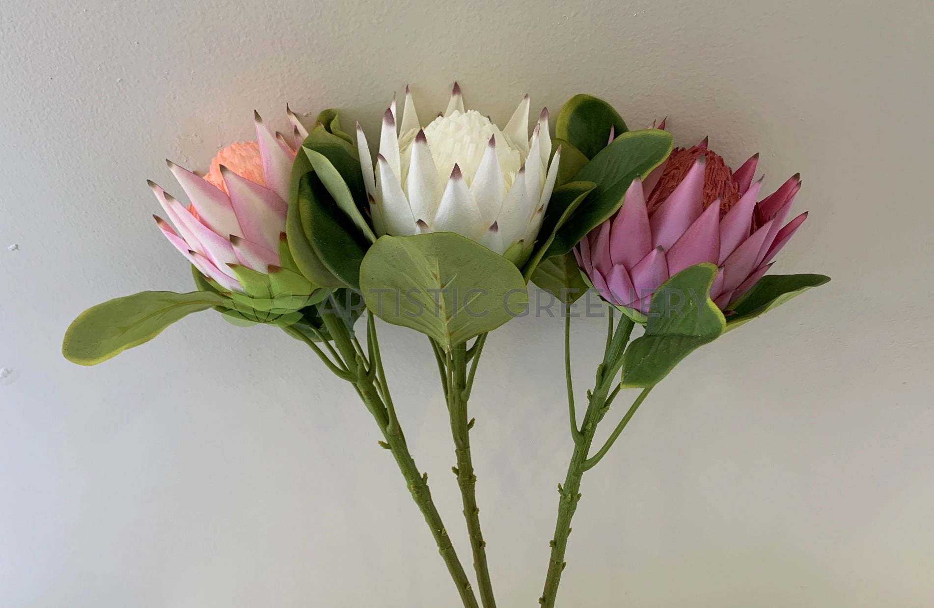 F0320 King Protea Single Stem 65cm 3 Colours