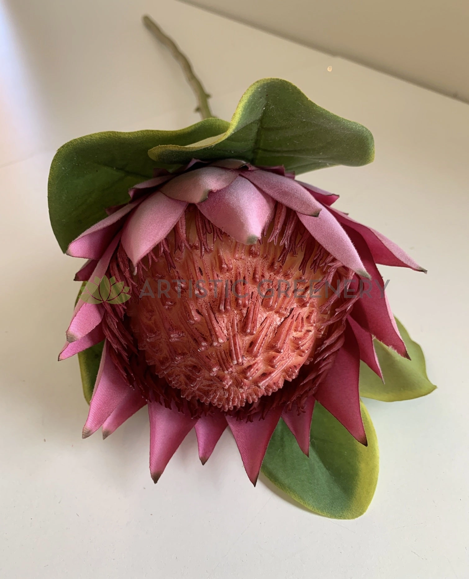 F0320 King Protea Single Stem 65cm 3 Colours