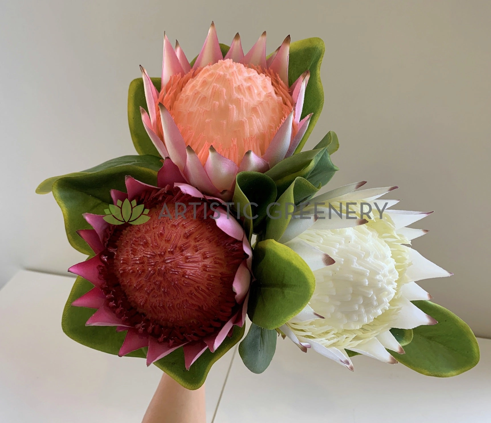F0320 King Protea Single Stem 65cm 3 Colours
