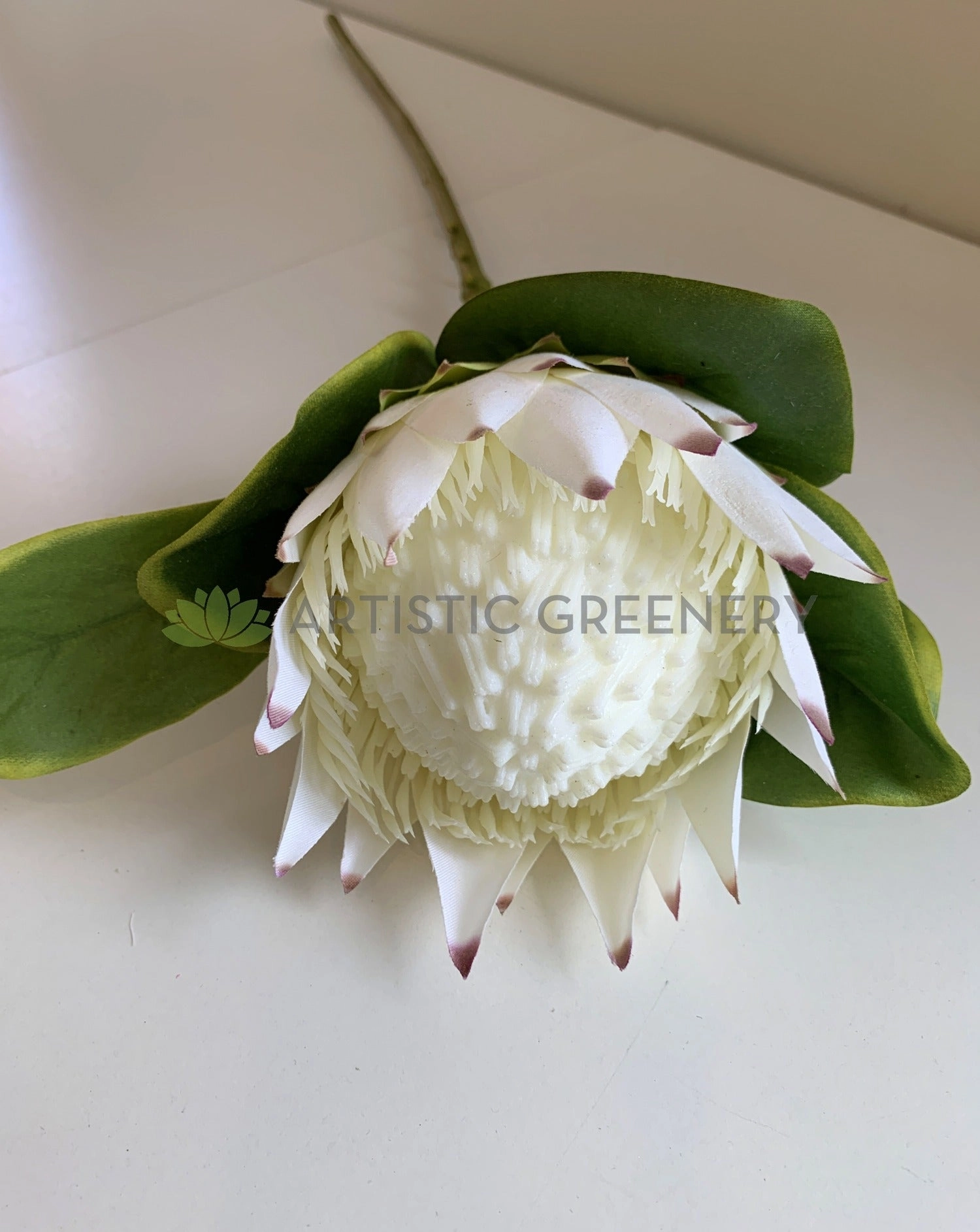 F0320 King Protea Single Stem 65cm 3 Colours