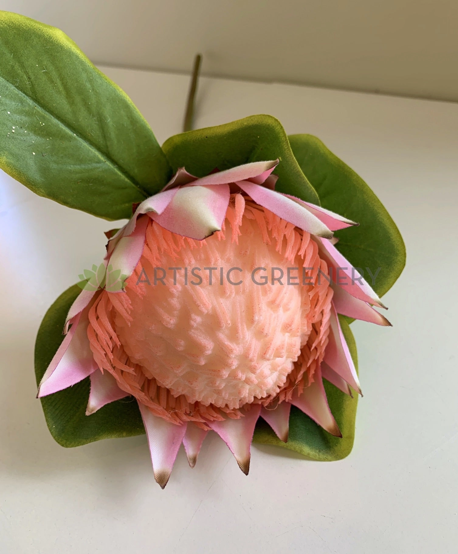 F0320 King Protea Single Stem 65cm 3 Colours