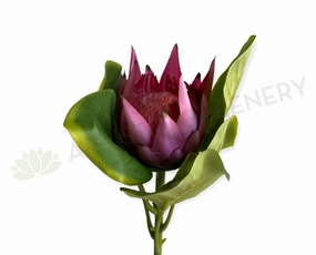 F0320S King Protea Stem Small 54cm Mauve outdoor greenery  