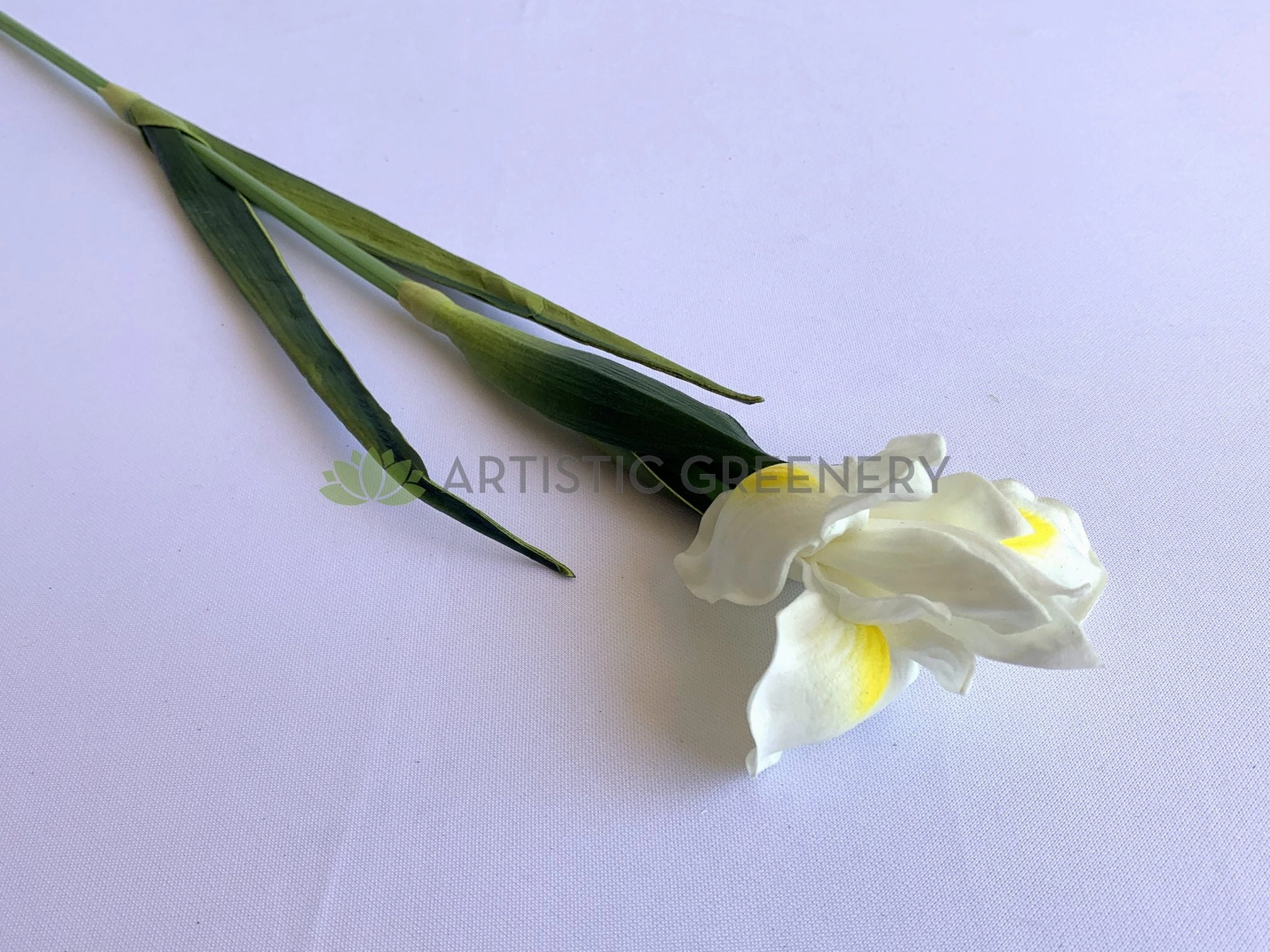 F0326 Dutch Iris Stem 60cm Purple / White (Real Touch Quality)