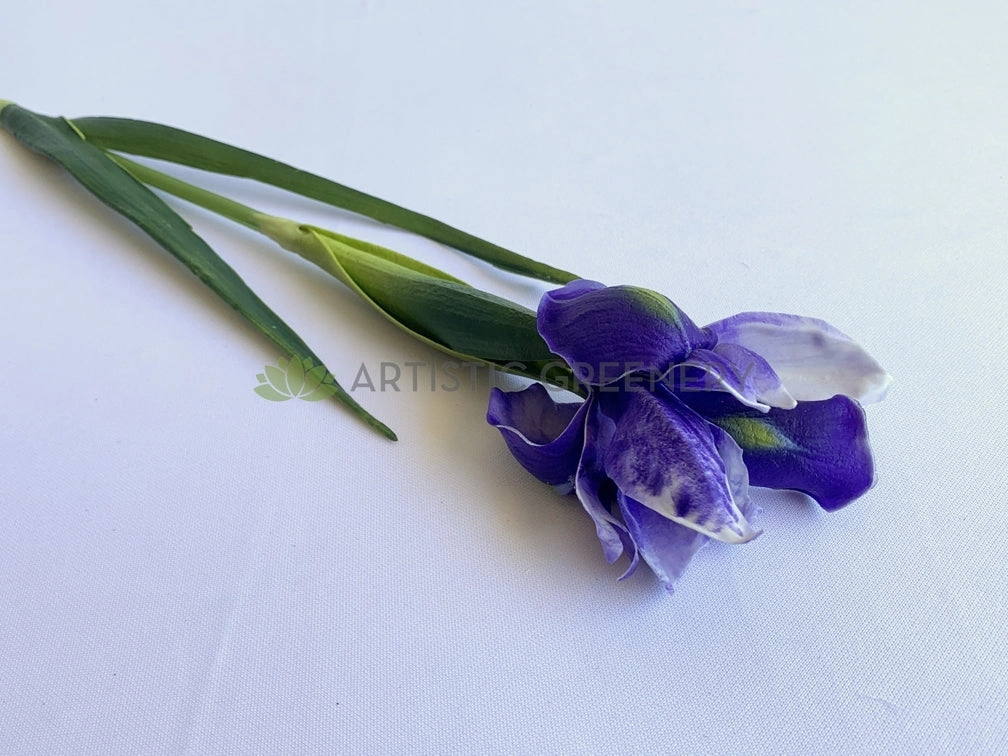 F0326 Dutch Iris Stem 60cm Purple / White (Real Touch Quality)