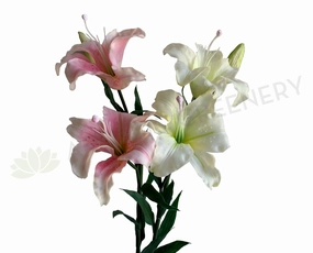 F0329 Tiger Lily Spray ( Latex ) 86cm Light Pink / White outdoor greenery  