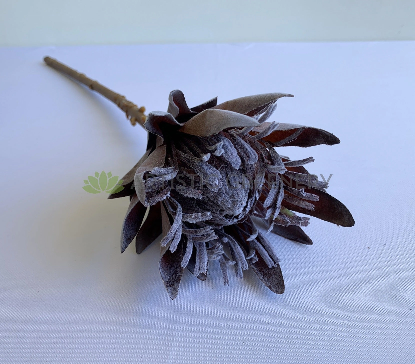 F0333 King Protea (Dried Style) 2 Sizes Cream / Brown