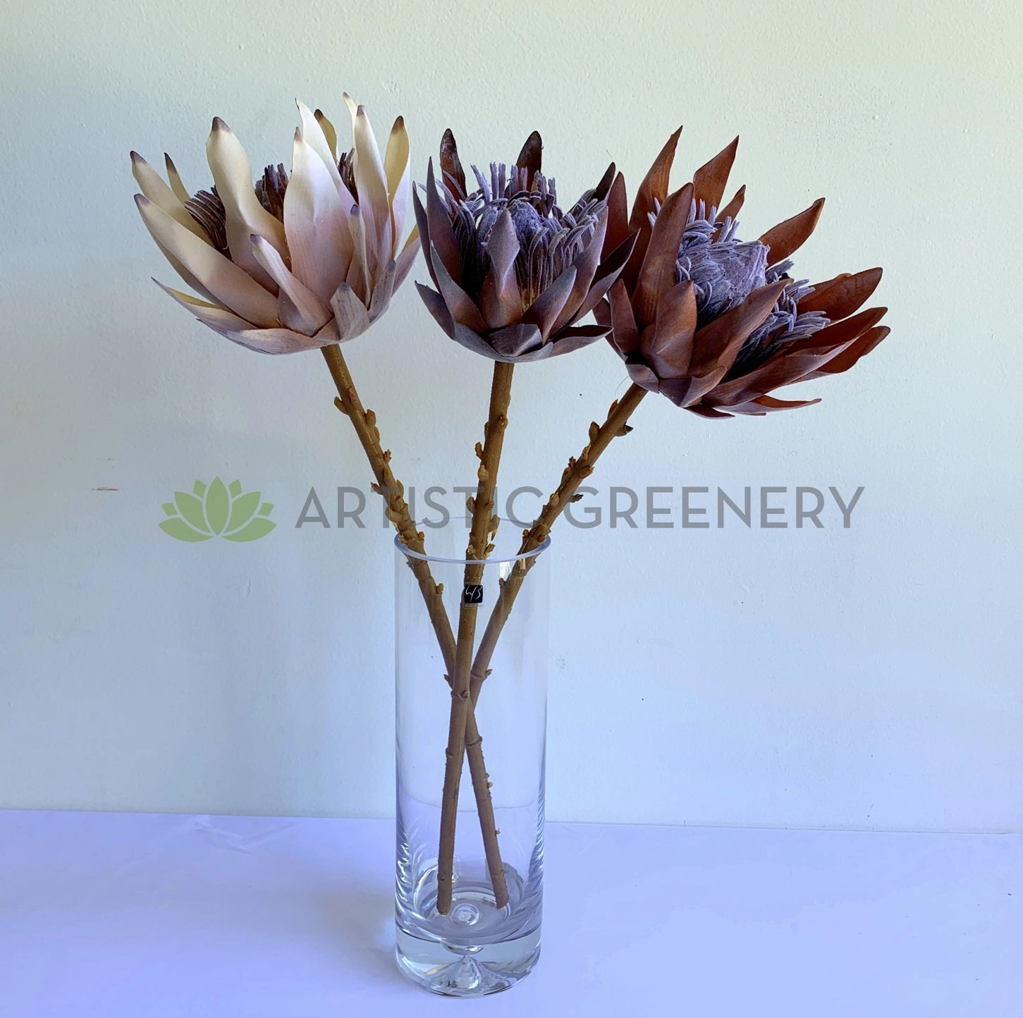 F0333 King Protea (Dried Style) 2 Sizes Cream / Brown