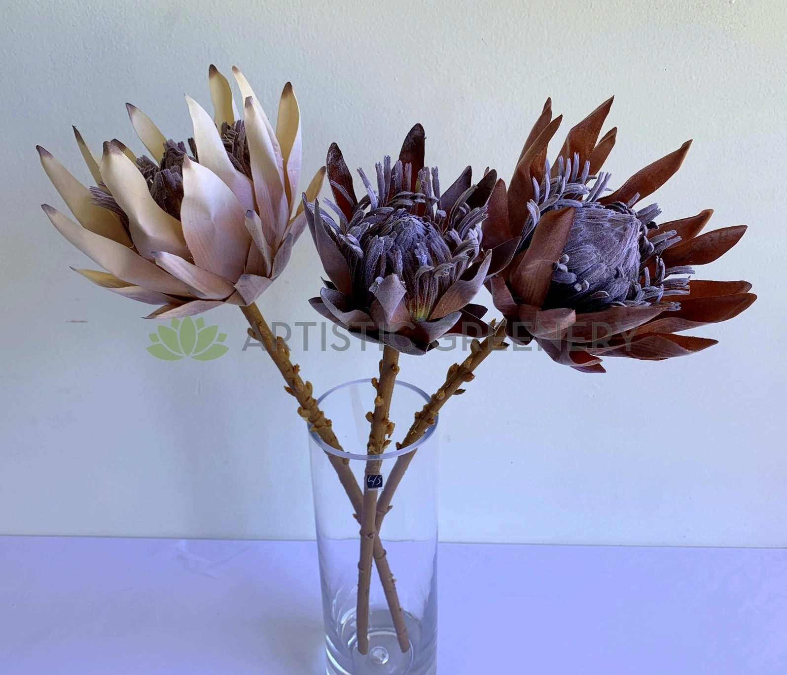 F0333 King Protea (Dried Style) 2 Sizes Cream / Brown