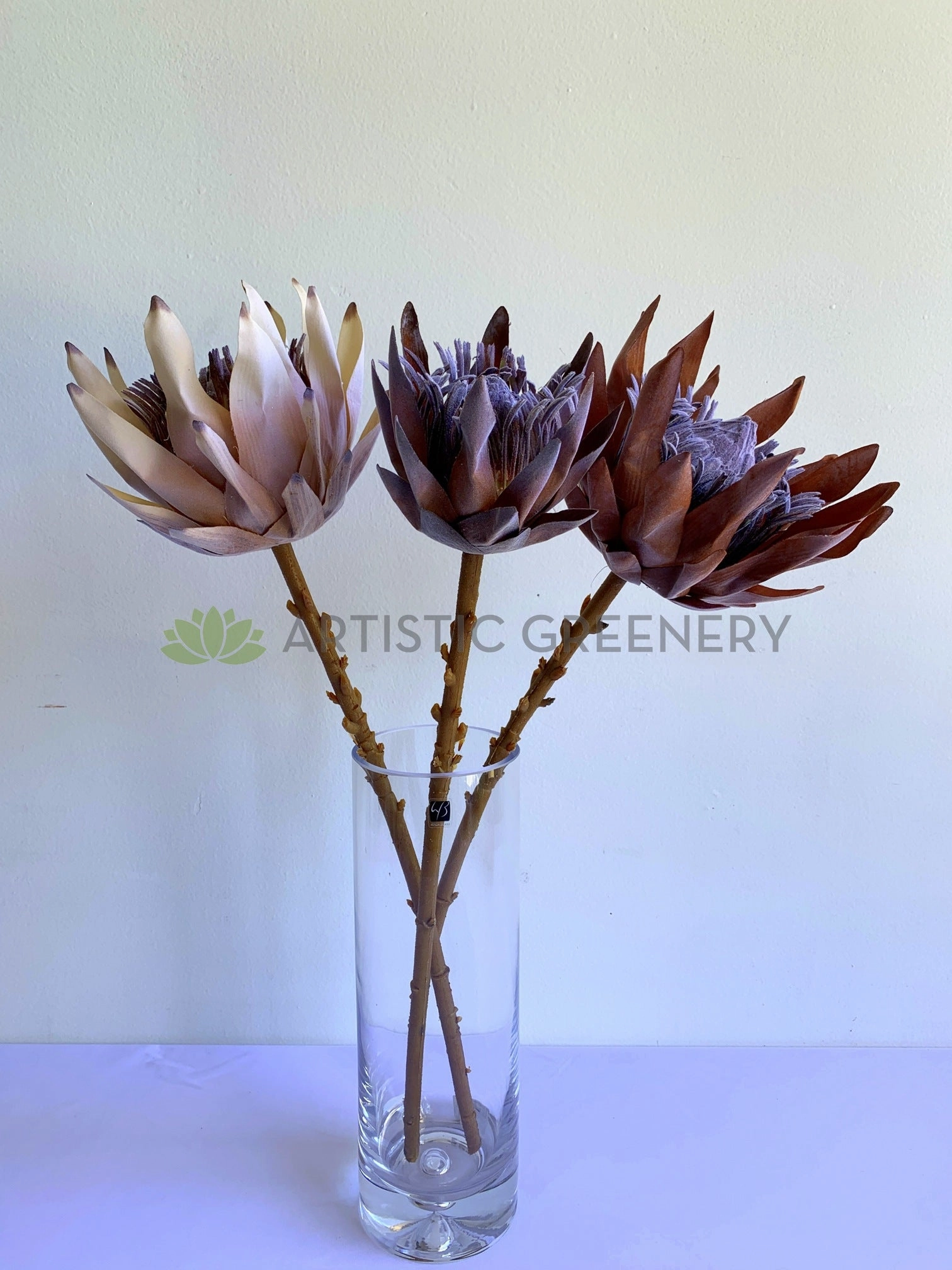 F0333 King Protea (Dried Style) 2 Sizes Cream / Brown
