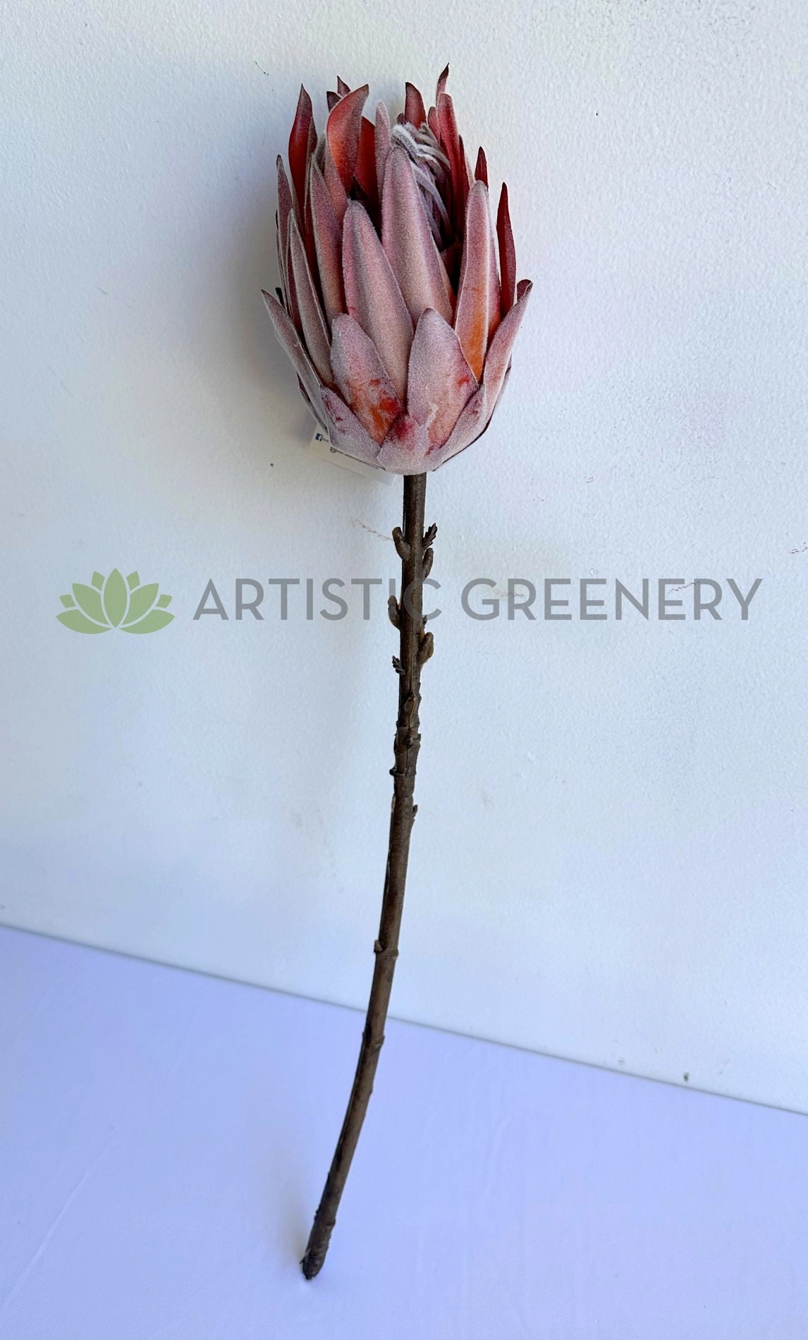 F0333L-N King Protea (Dried Style) 54cm Brown