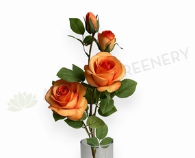 F0338N Queen Rose Spray 70cm Orange indoor houseplants  