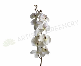 F0348 Phalaenopsis Orchid Spray (Autumn Style) 101cm White outdoor greenery  