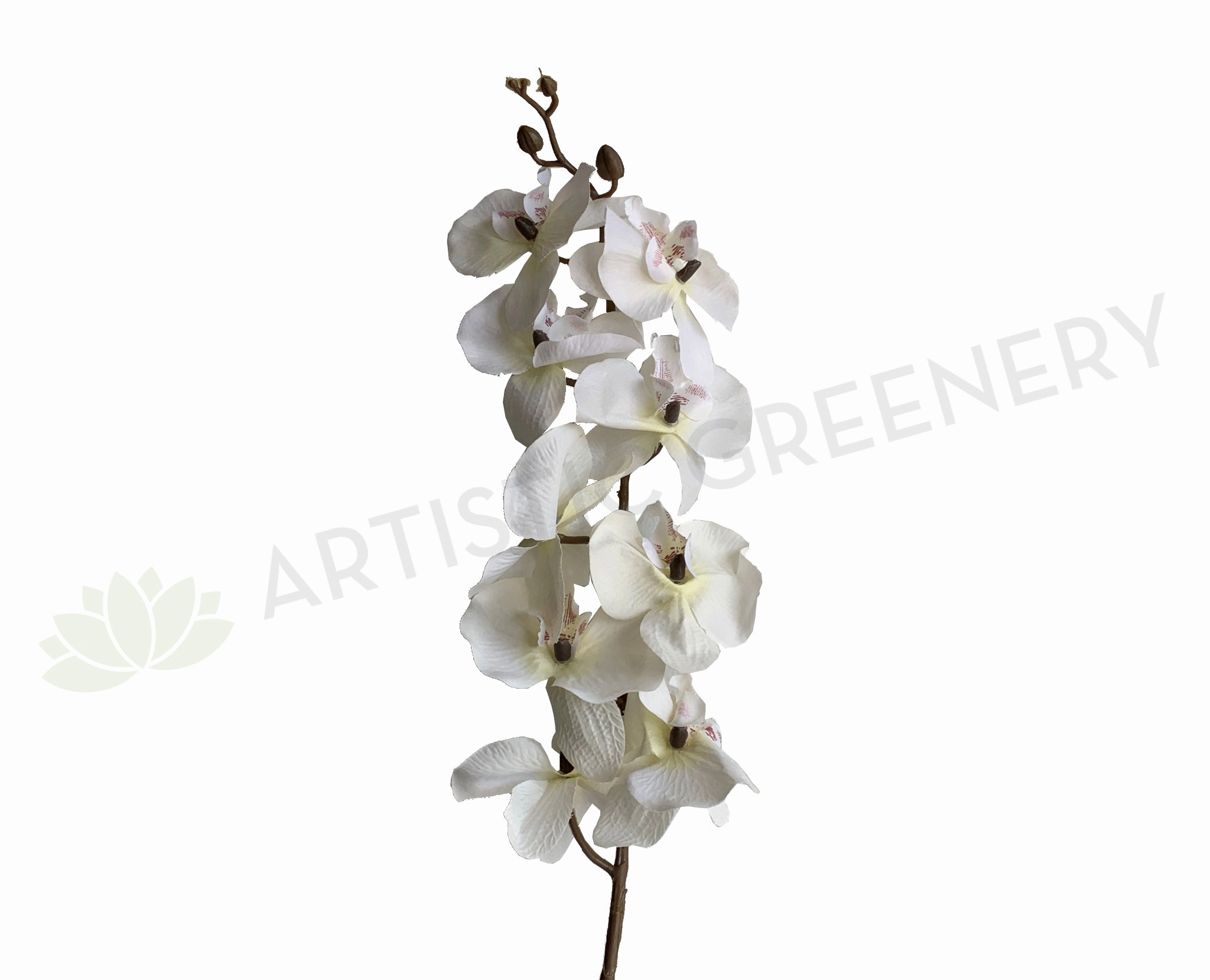 F0348 Phalaenopsis Orchid Spray (Autumn Style) 101cm White outdoor greenery  