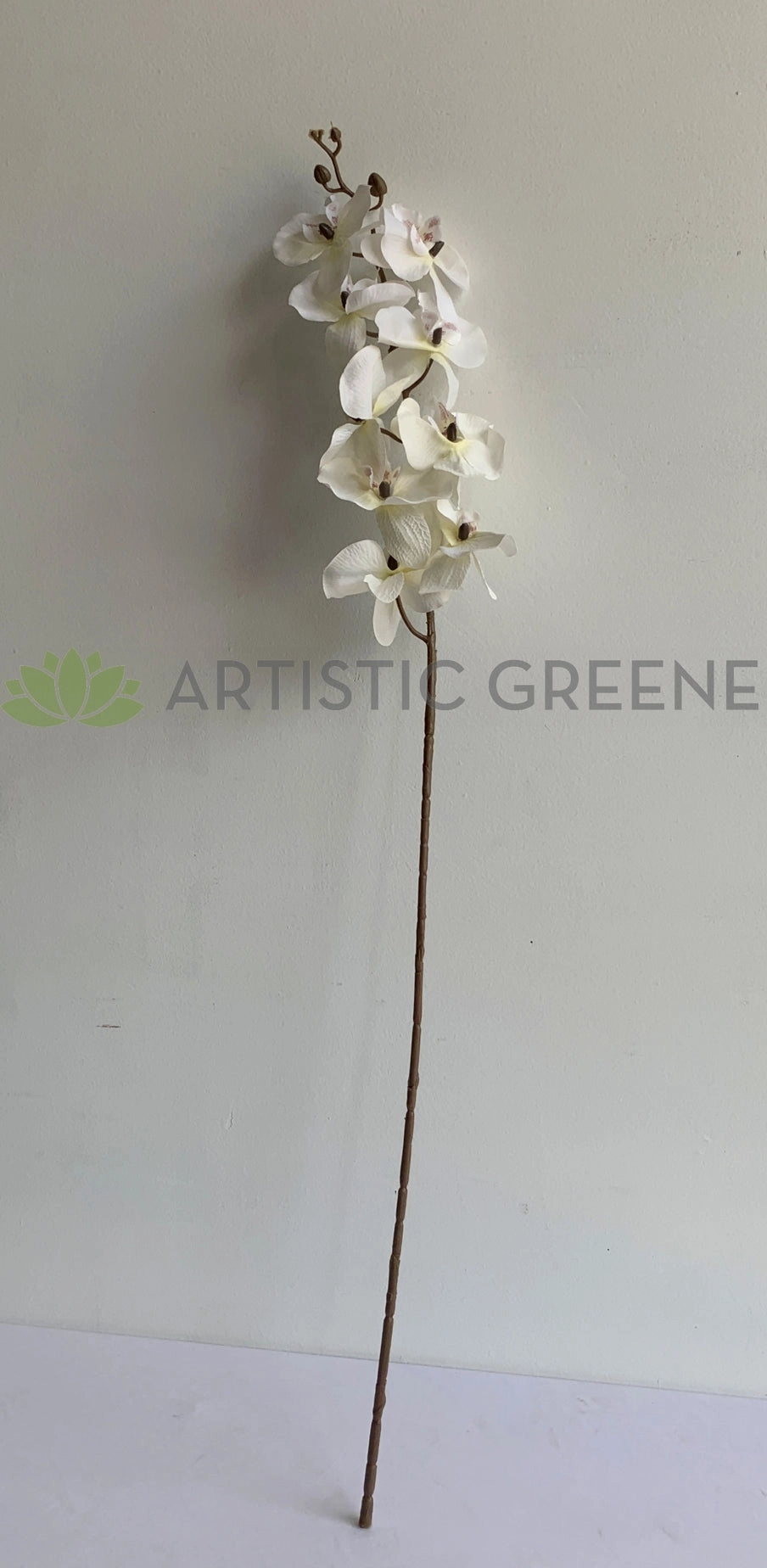 F0348 Phalaenopsis Orchid Spray (Autumn Style) 101cm White