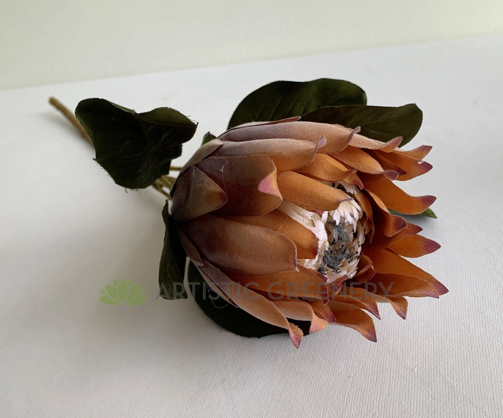 F0350 King Protea 55cm Light Brown
