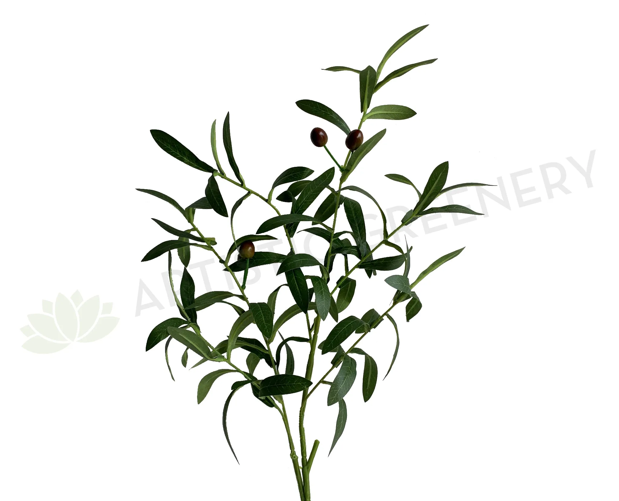 F0351 Olive Foliage 87cm dried green plant  