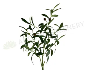F0351 Olive Foliage 87cm dried green plant  
