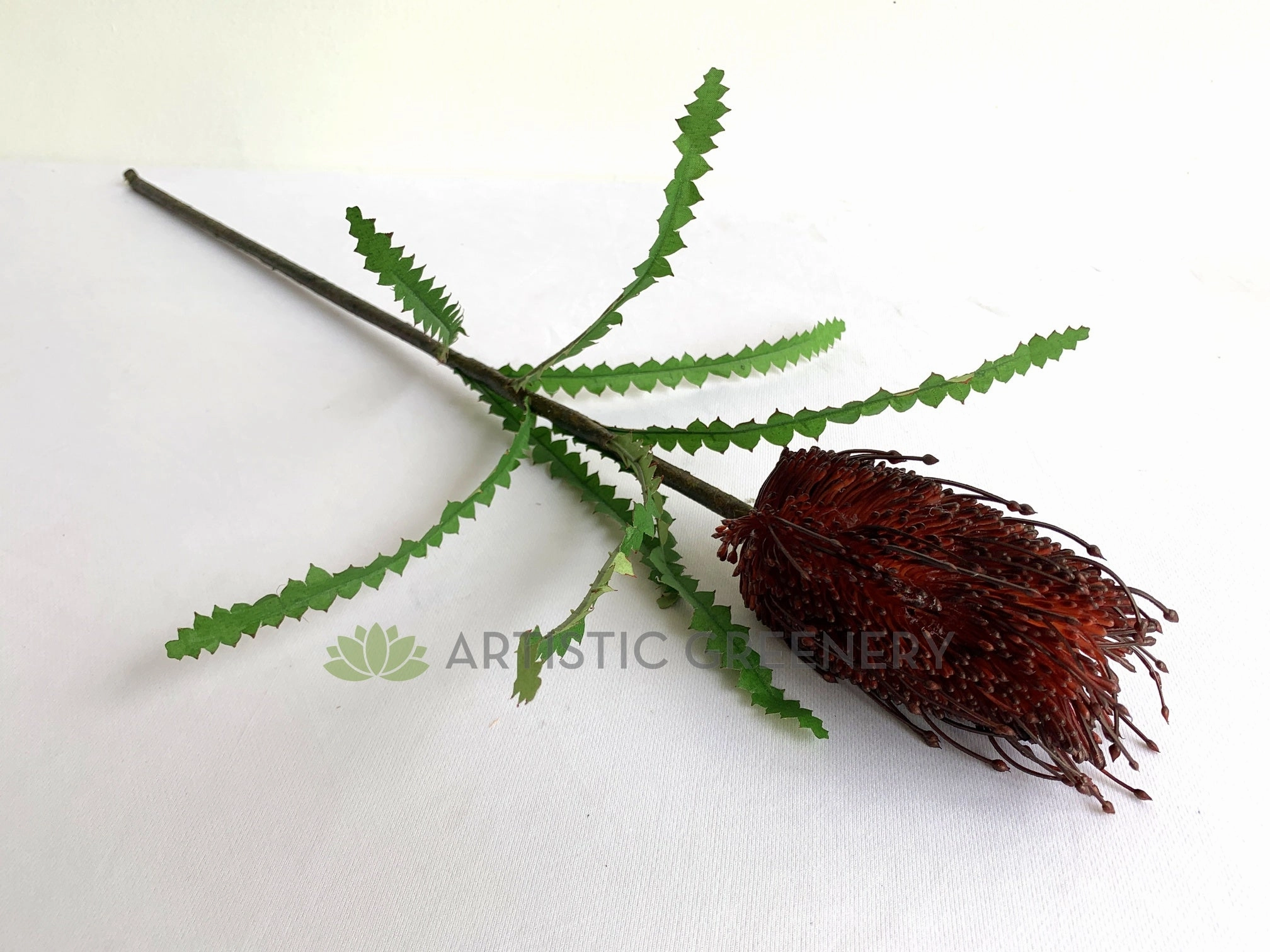 F0352 Banksia Stem 72cm Dark Red