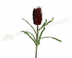 F0352 Banksia Stem 72cm Dark Red outdoor greenery  