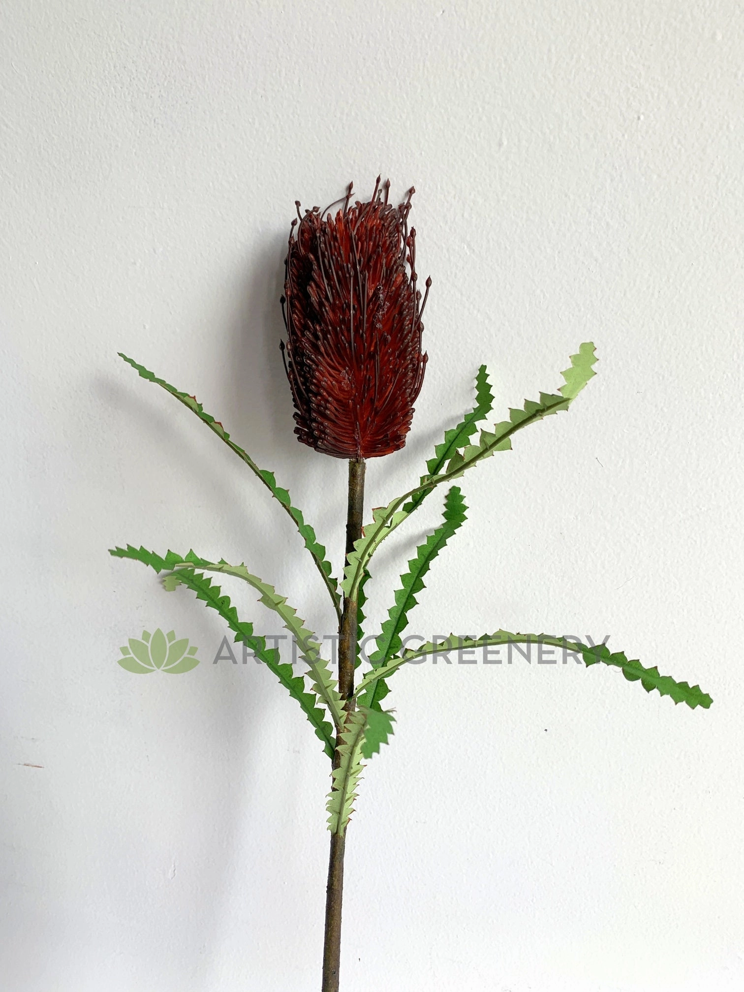 F0352 Banksia Stem 72cm Dark Red