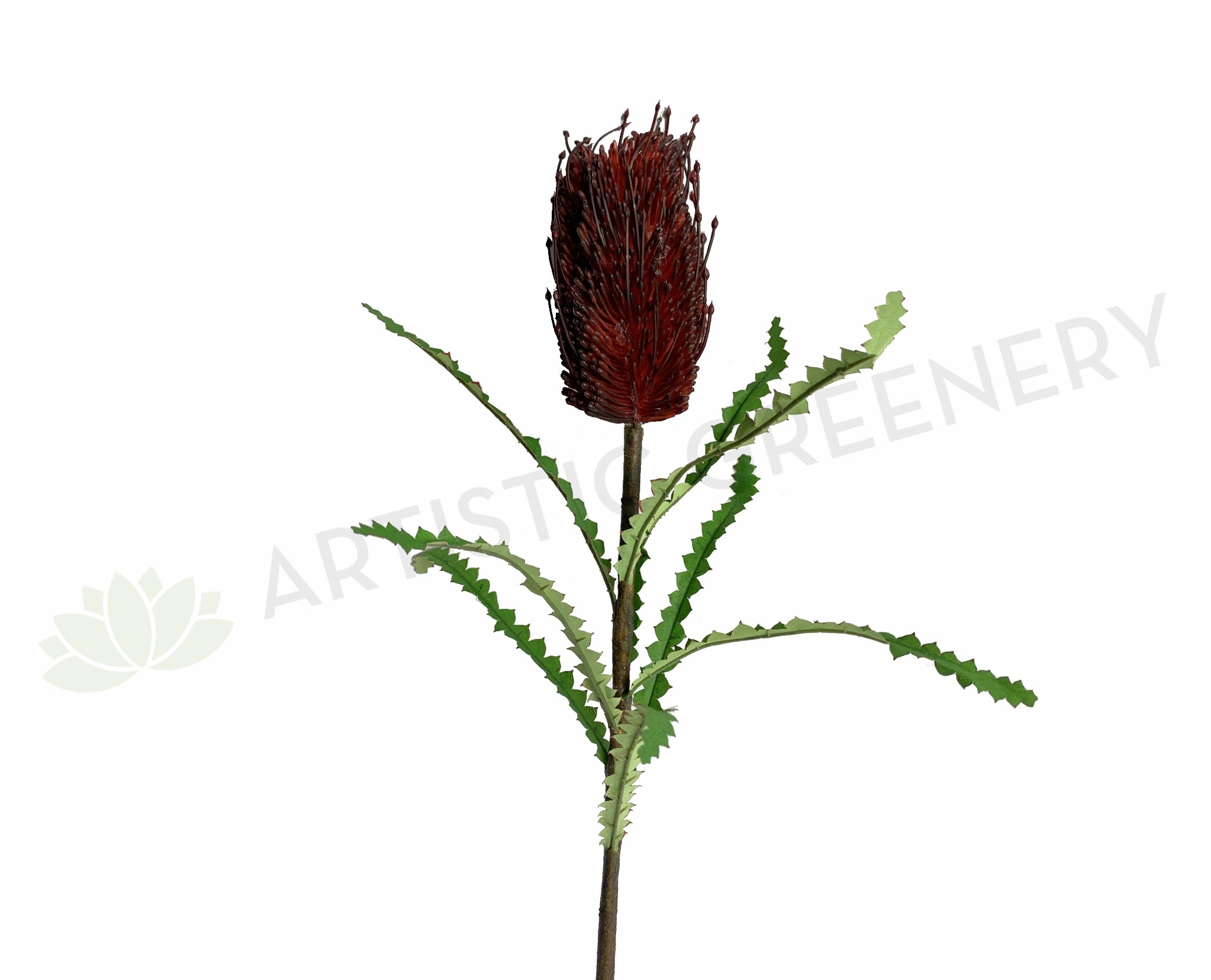 F0352 Banksia Stem 72cm Dark Red outdoor greenery  