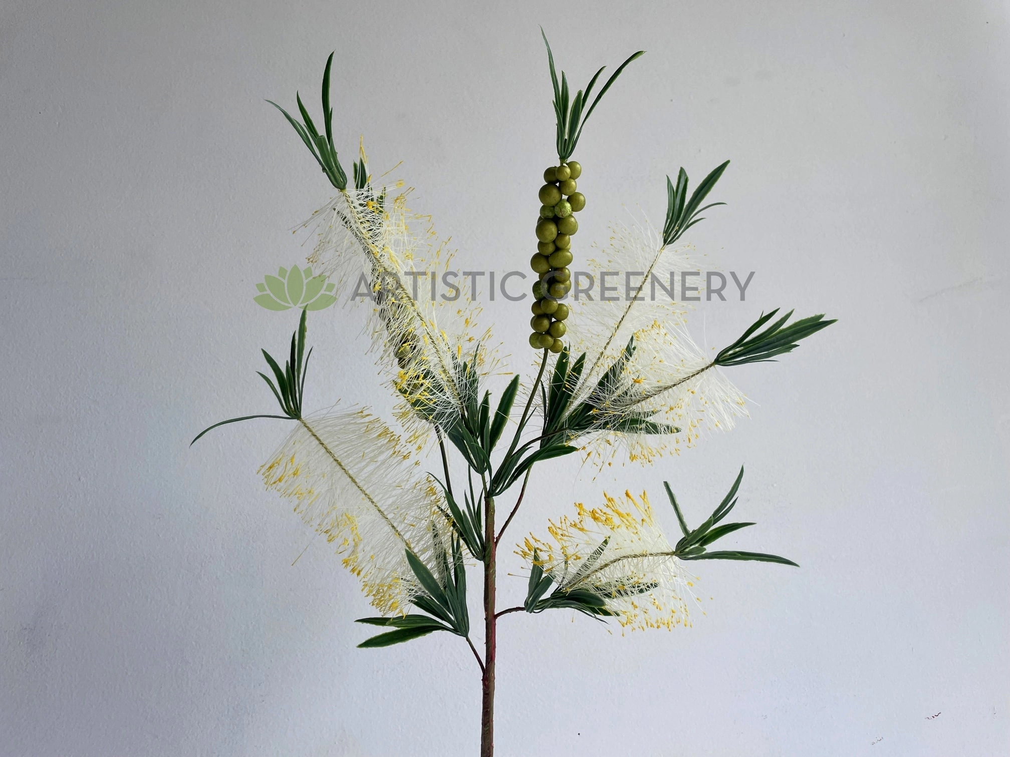 F0353 Bottle Brush / Callistemon 79cm Cream